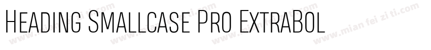 Heading Smallcase Pro ExtraBold字体转换